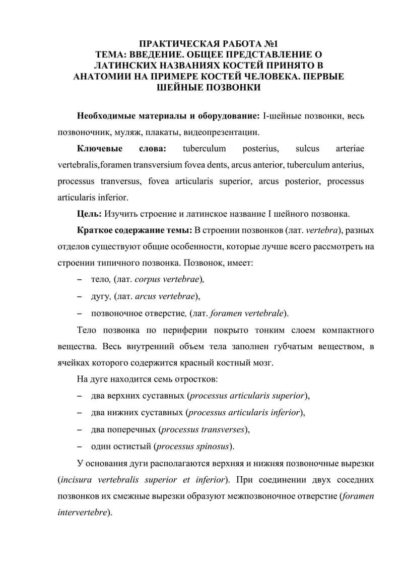 ВВЕДЕНИЕ. ОБЩЕЕ ПРЕДСТАВЛЕНИЕ О ЛАТИНСКИХ НАЗВАНИЯХ КОСТЕЙ ПРИНЯТО В АНАТОМИИ НА ПРИМЕРЕ КОСТЕЙ ЧЕЛОВЕКА. ПЕРВЫЕ ШЕЙНЫЕ ПОЗВОНКИ