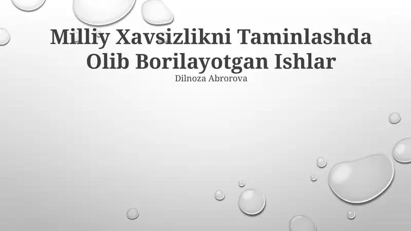Milliy Xavsizlikni Taminlashda Olib Borilayotgan Ishlar