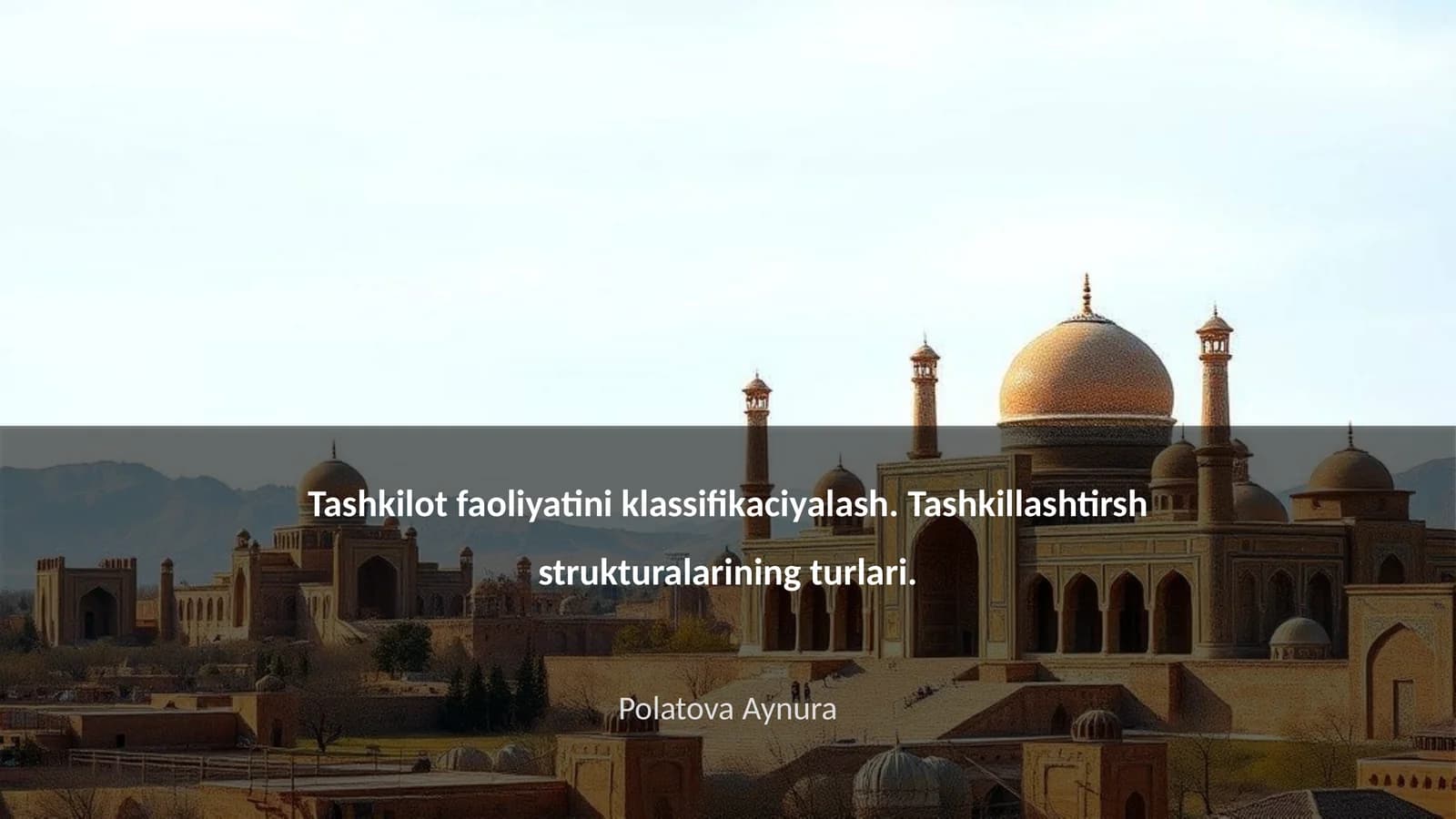 Tashkilot faoliyatini klassifikaciyalash