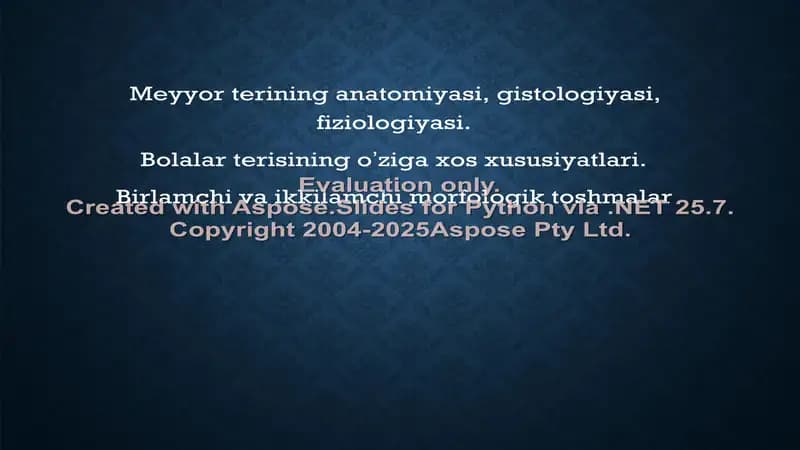 Meyyor terining anatomiyasi, gistologiyasi, fiziologiyasi