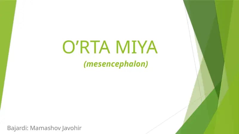 O’RTA MIYA