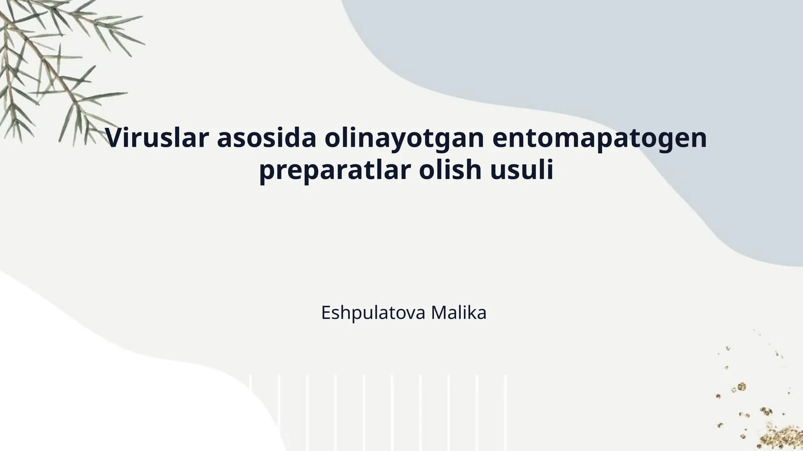 Viruslar asosida olinayotgan entomapatogen preparatlar olish usuli