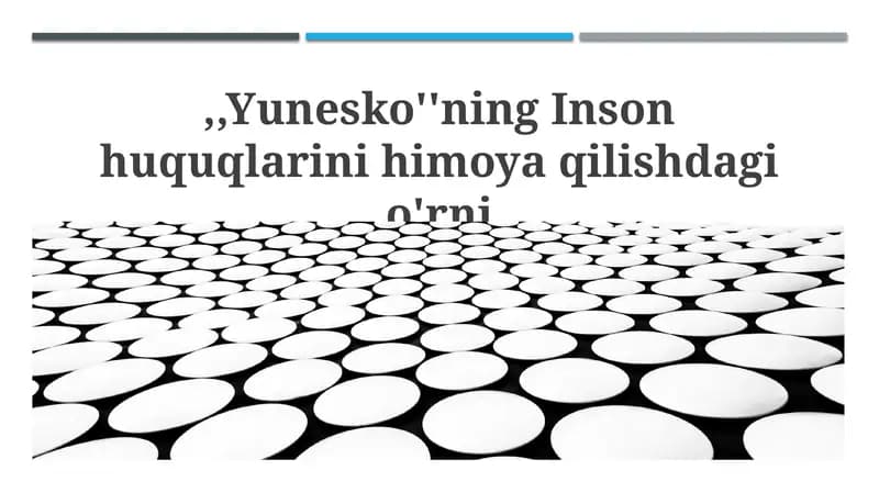 ЮНЕСКОнинг инсон ҳуқуқларини ҳимоя қилишдаги о'рни