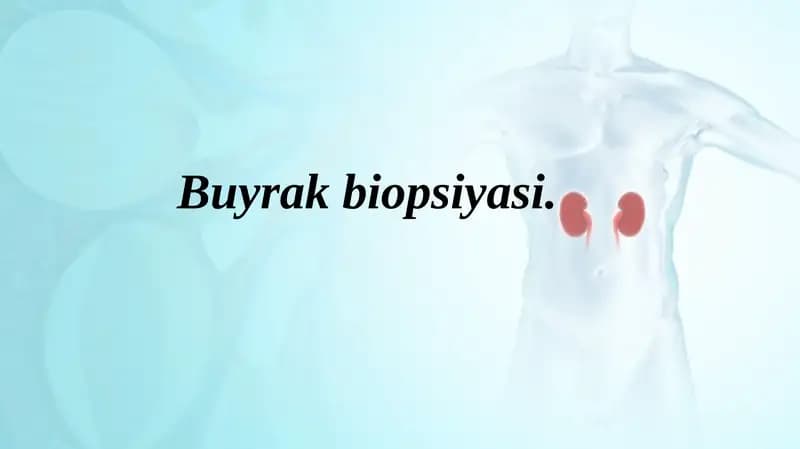 Buyrak biopsiyasi pptx