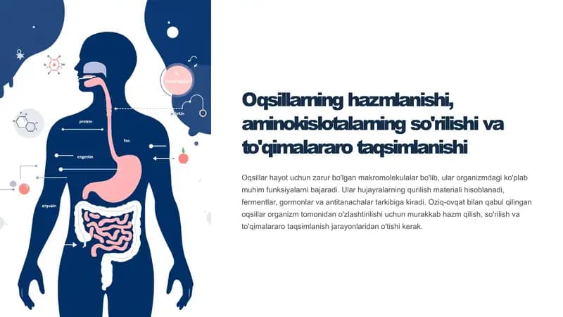 Oqsillarning hazmlanishi biokimyosi, aminokislotalarning so'rilishi vа
to'qimalararo taqsimlanishi.