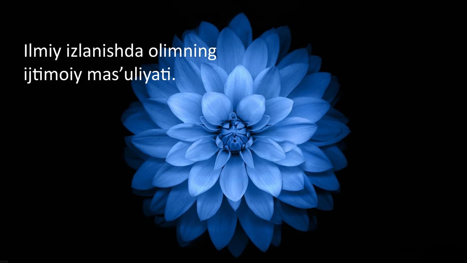 Ilmiy izlanishda olimning ijtimoiy mas’uliyati