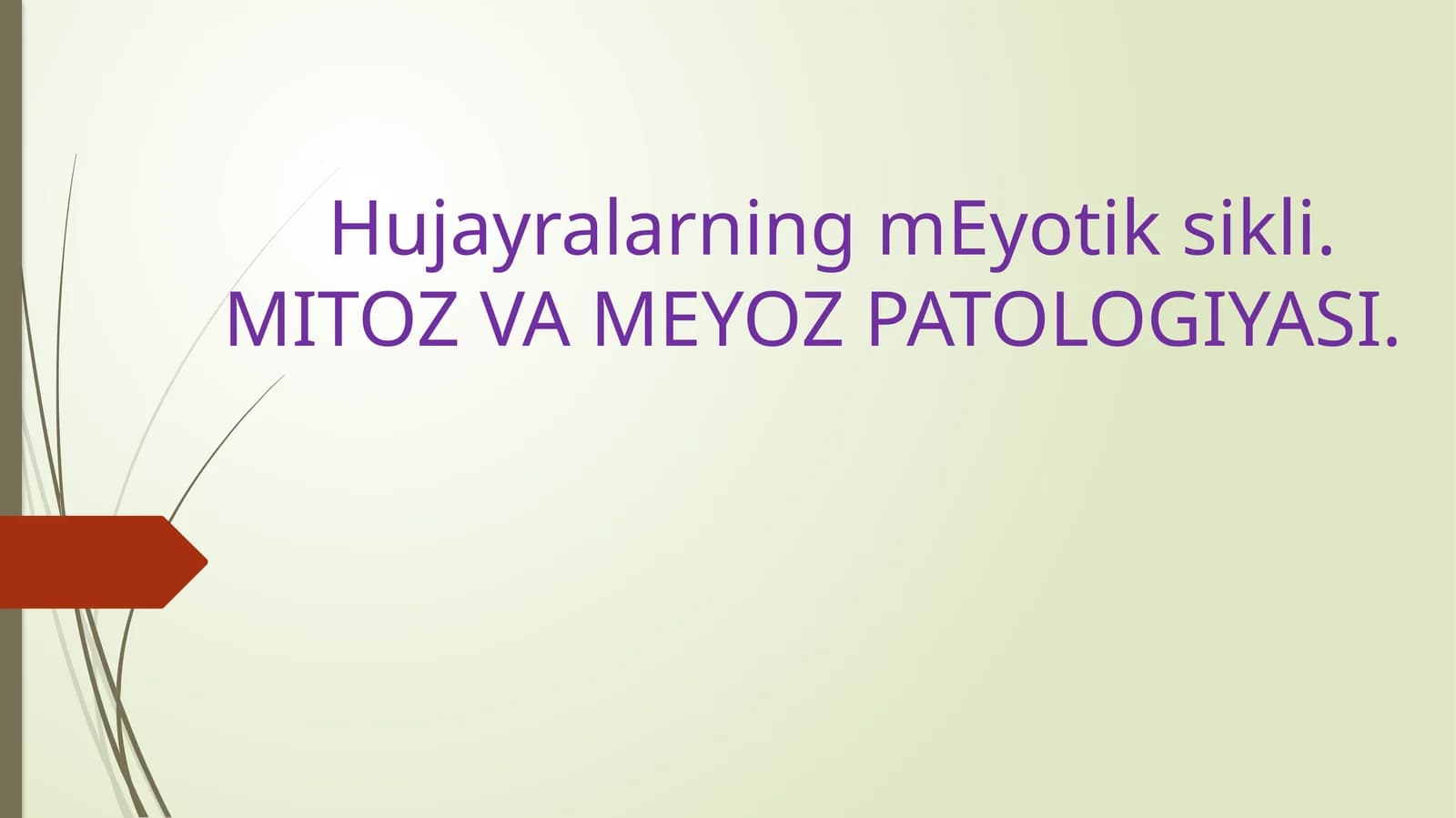 HujayralarningmEyotiksi. MITOZ VA MEYOZ PATOLOGIYASI