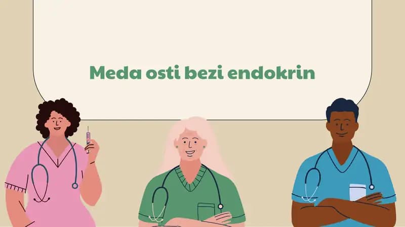 Meda osti bezi