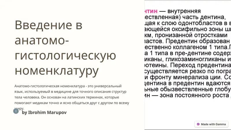 Введение в анатомо-гистологическую номенклатуру