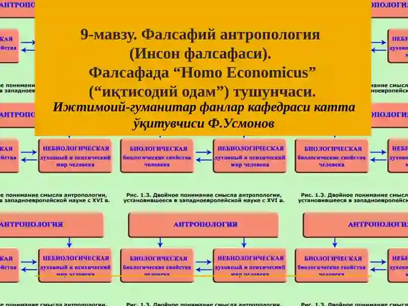 Фалсафий антропология(Инсон фалсафаси)