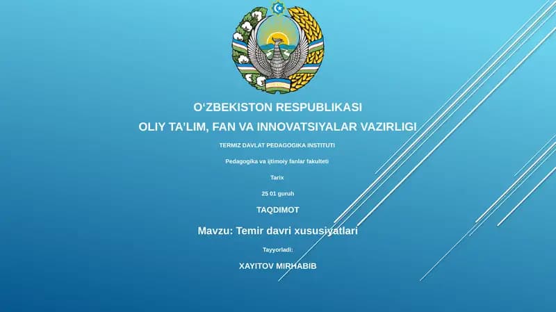 Temir davri xususiyatlari