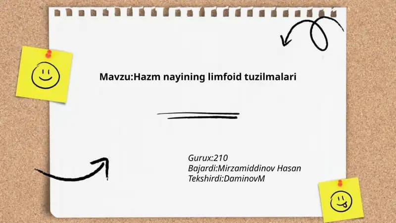Hazm nayining limfoid tuzilmalari
