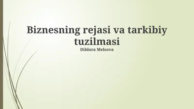 Biznesning rejasi va tarkibiy tuzilmasi