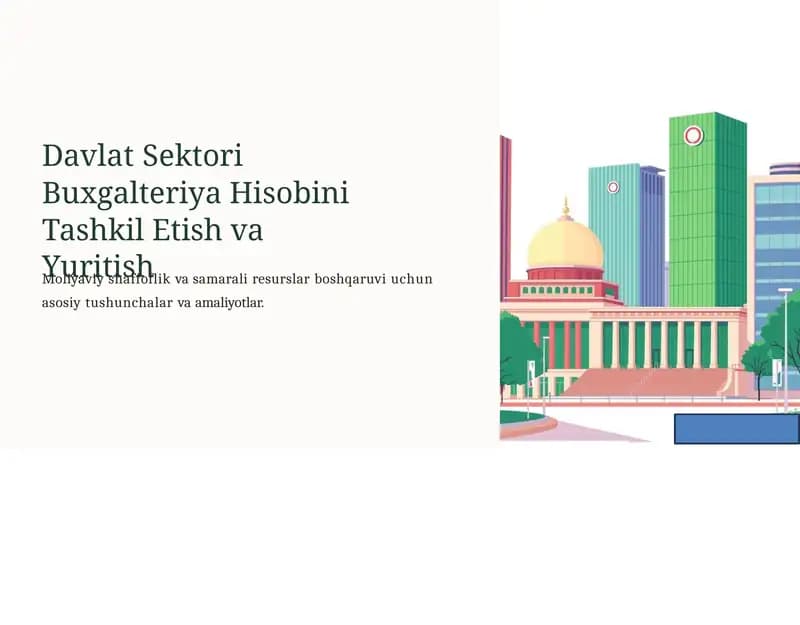 Davlat Sektori Buxgalteriya Hisobini Tashkil Etish va Yuritish
