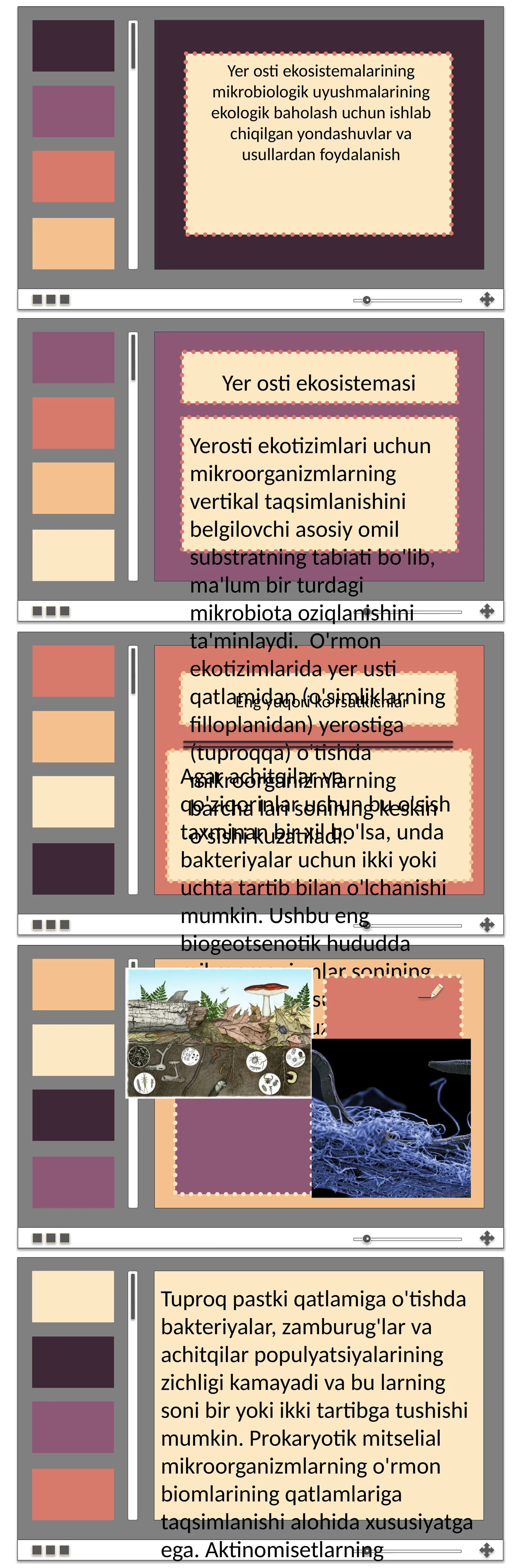 Agar achitqilar va qo'ziqorinlar