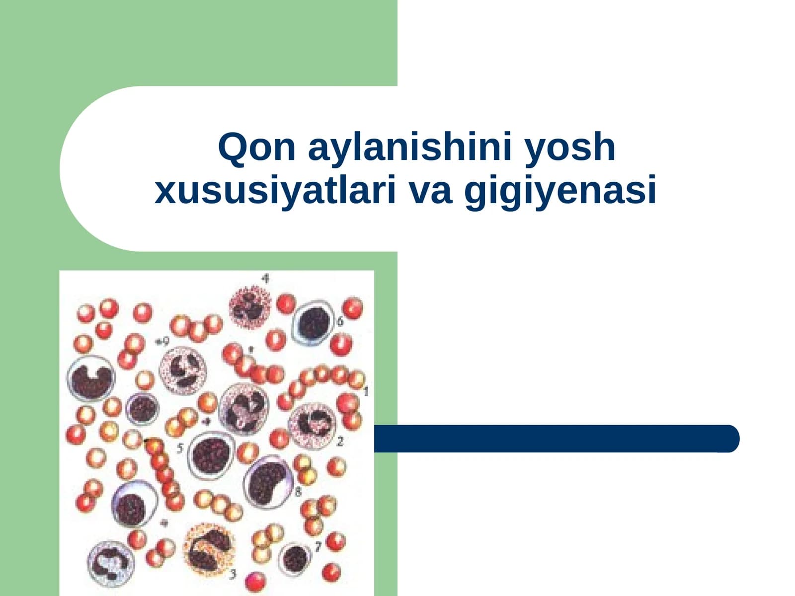 Yurak Muskuili