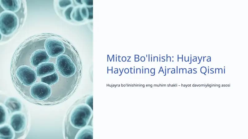 Mitoz Bo'linish: Hujayra Hayotining Ajralmas Qismi
