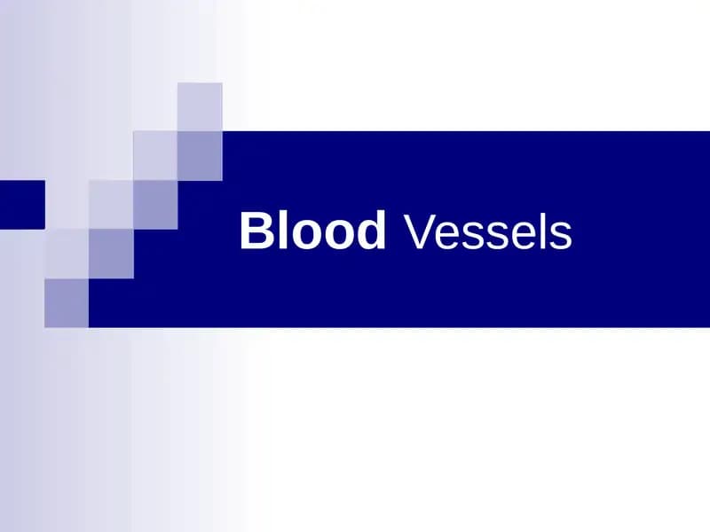 Blood Vessels