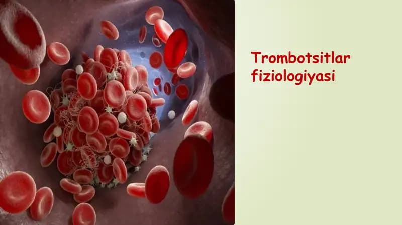 Trombotsitlar fiziologiyasi