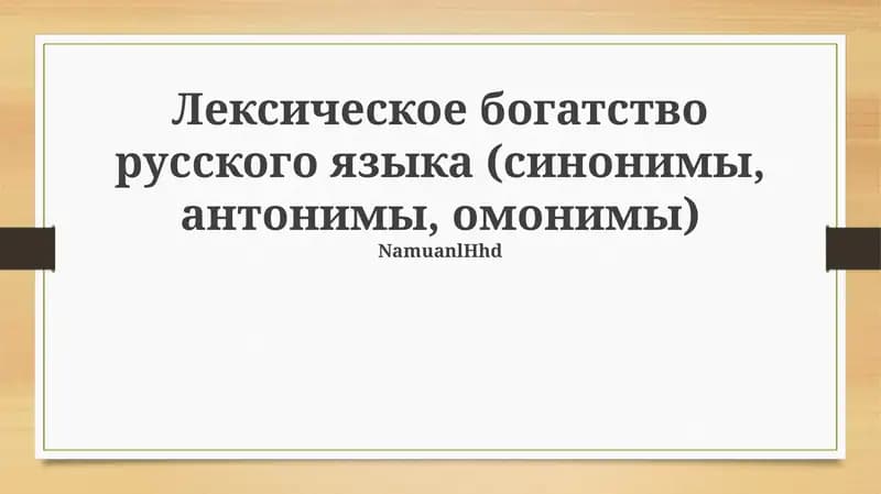 Лексическое богатство русского языка (синонимы, антонимы, омонимы)
