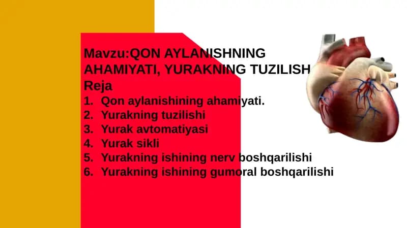 Qon aylanish sistemasi. Yurakning tuzilishi.