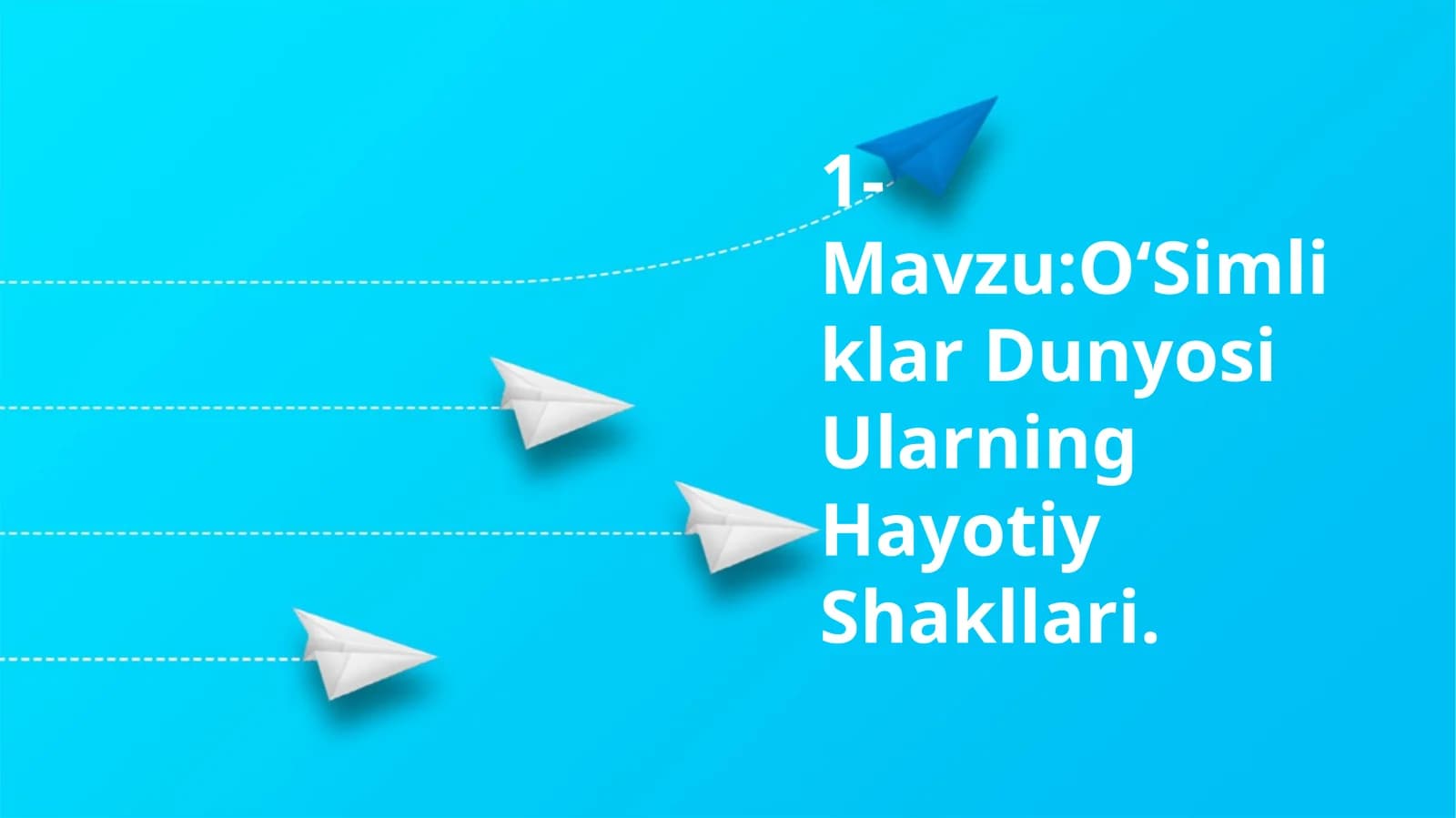 O'Simliklar Dunyosi Ularning Hayotiy Shakllari