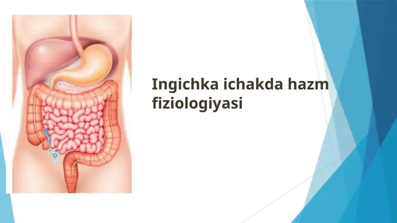 Ingichka ichakda hazm fiziologiyasi