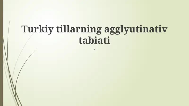 Turkiy Tillarning Agglutinativ Tabiati