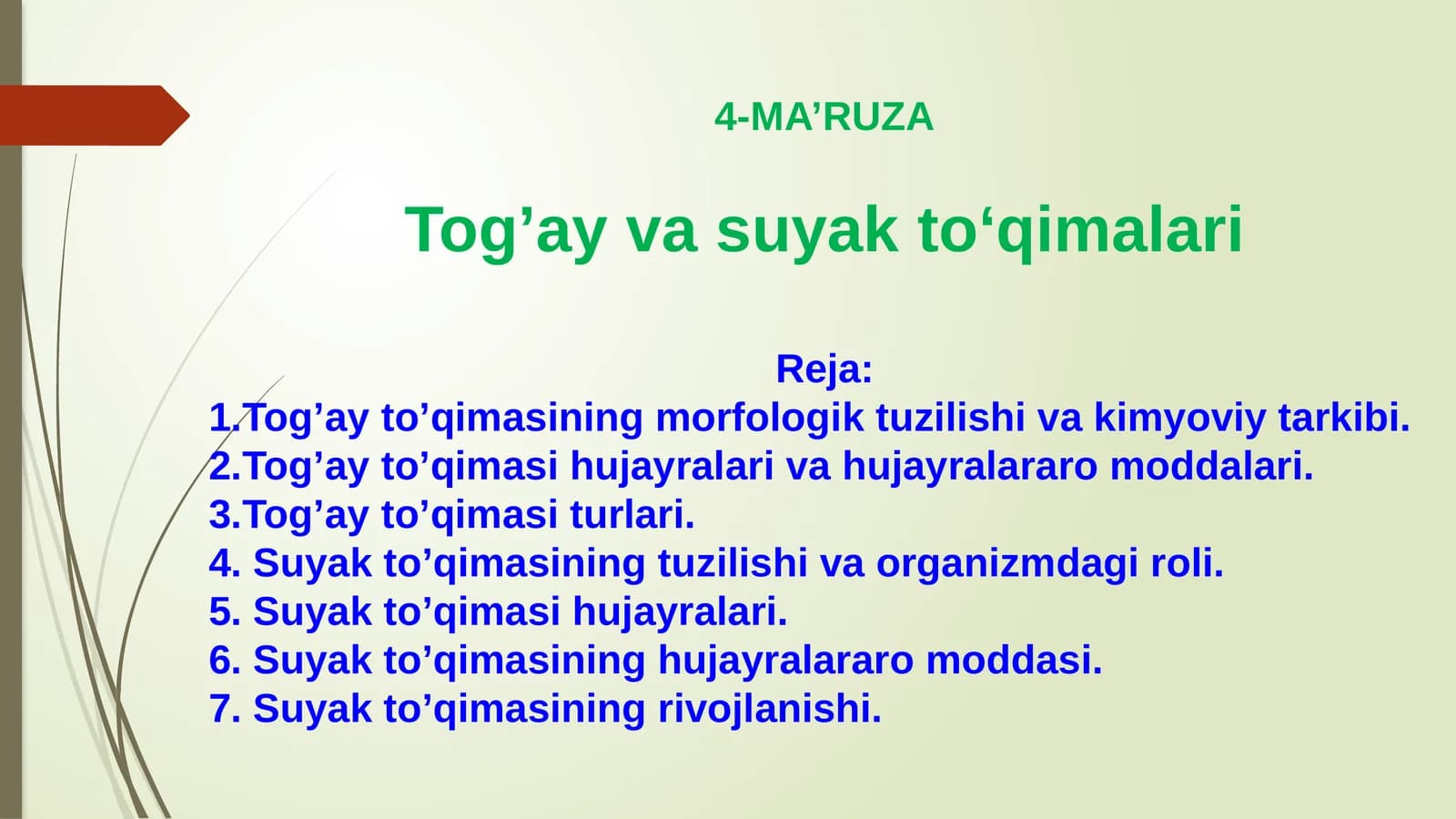 Tog’ay va suyak to‘qimalari