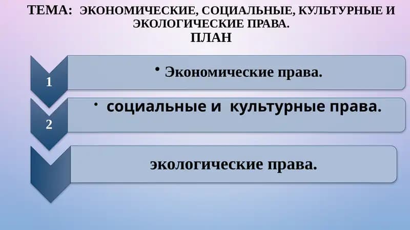 Экономические, социальные, культурные и экологические права