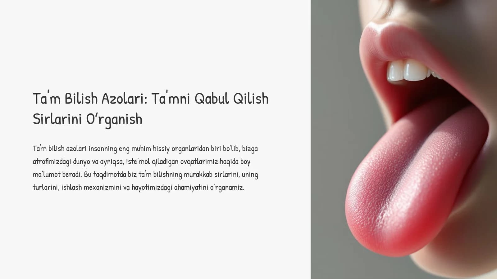 Ta'm Bilish Azolari: Ta'mni Qabul Qilish Sirlarini Oʻrganish
