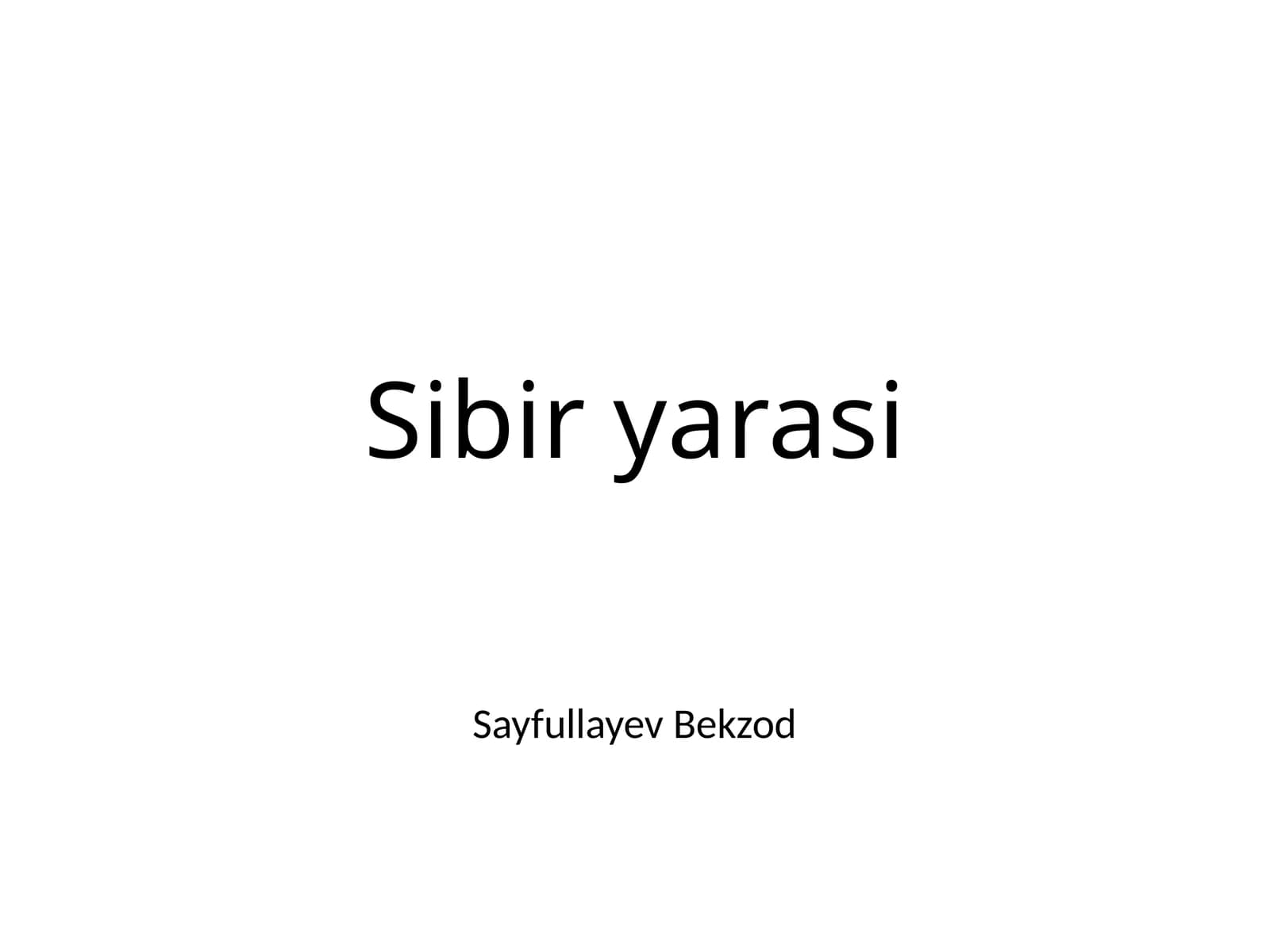 Sibir yarasi