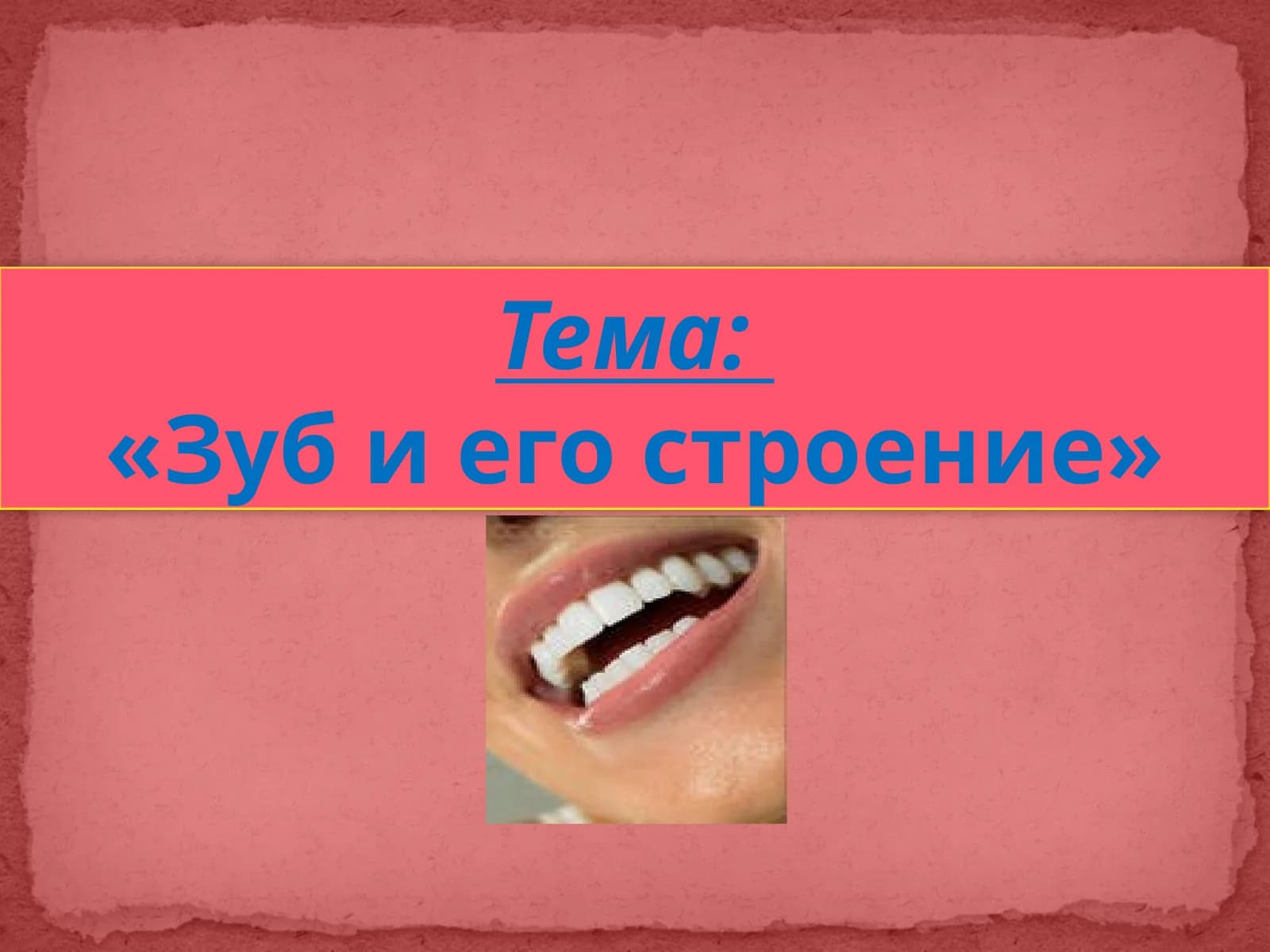 Зуб и его строение