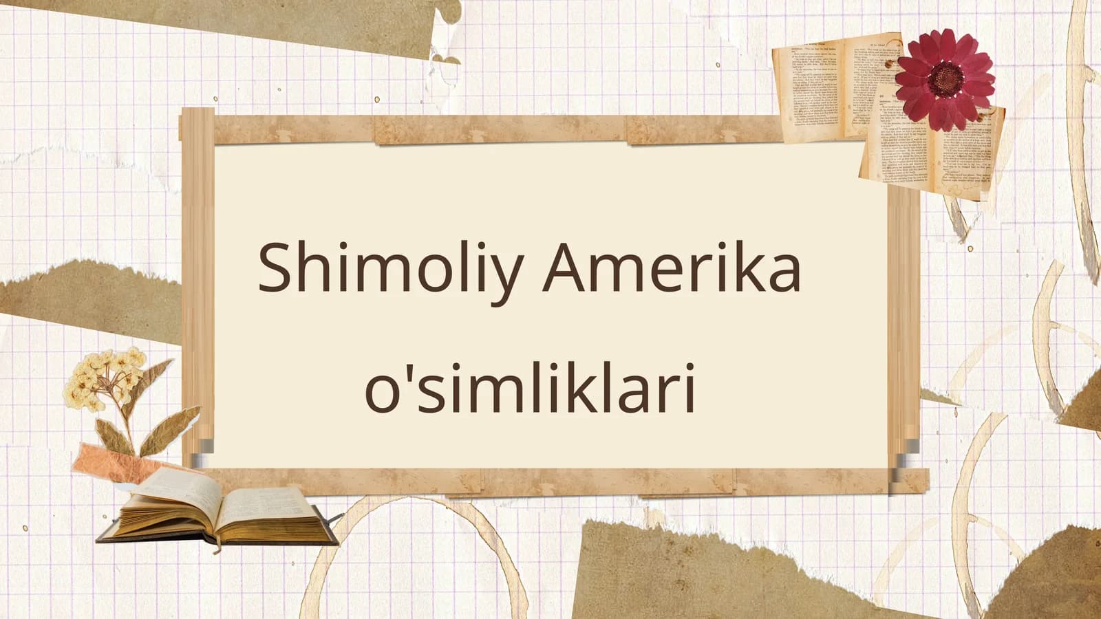Shimoliy Amerika o'simliklari