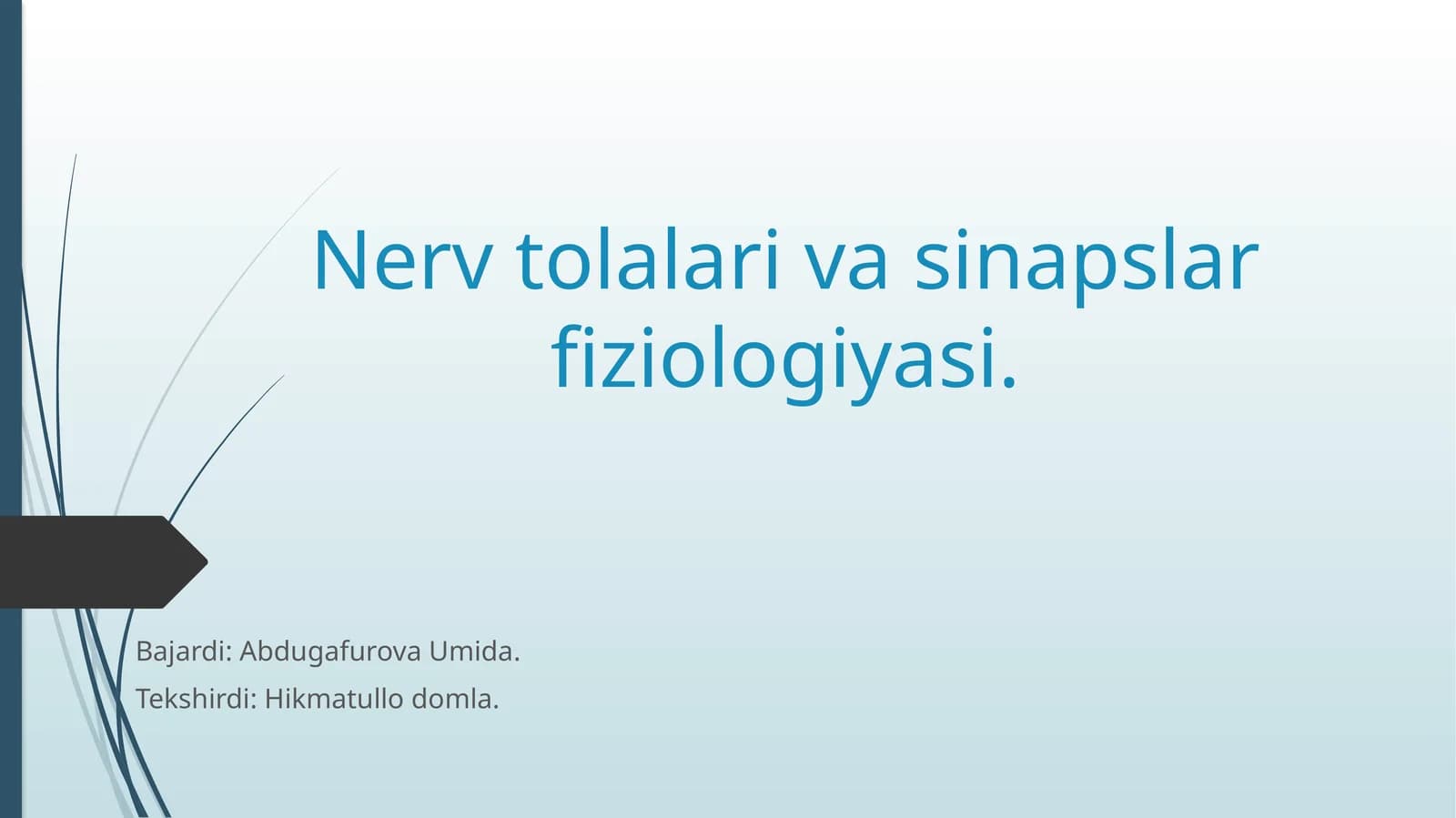 Nerv tolalari va sinapslar fiziologiyasi