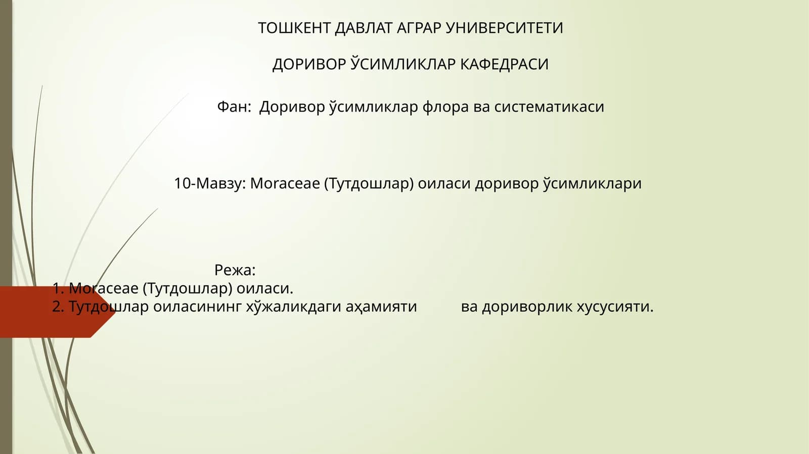 Moraceae (Тутдошлар) оиласи доривор ўсимликлари