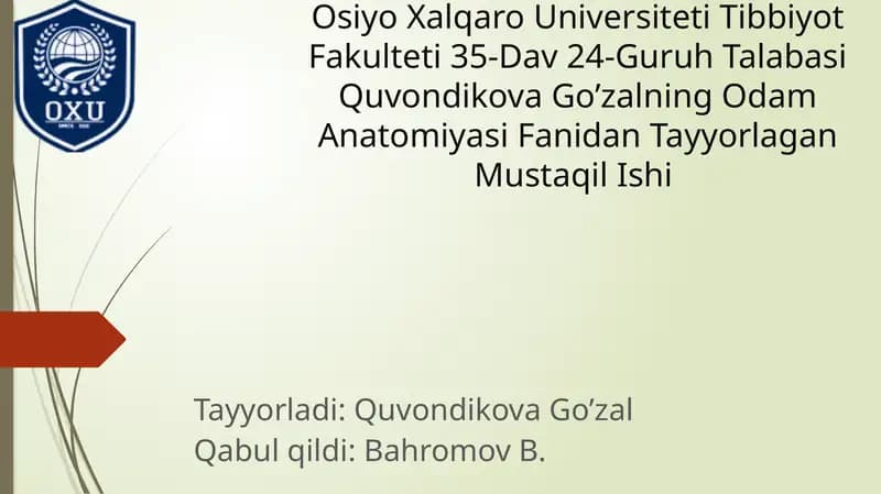 Oyoq Terisining Innervatsiyasi