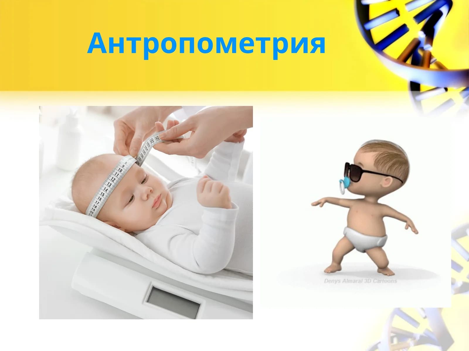 Антропометрия