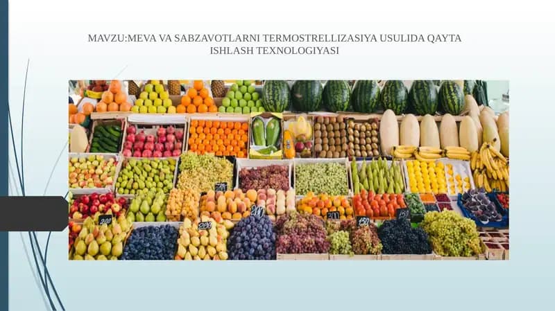 MEVAVA SABZAVOTLARNI TERMOSTRELLIZASIYA USULIDA QAYTA ISHLASH TEXNOLOGIYASI