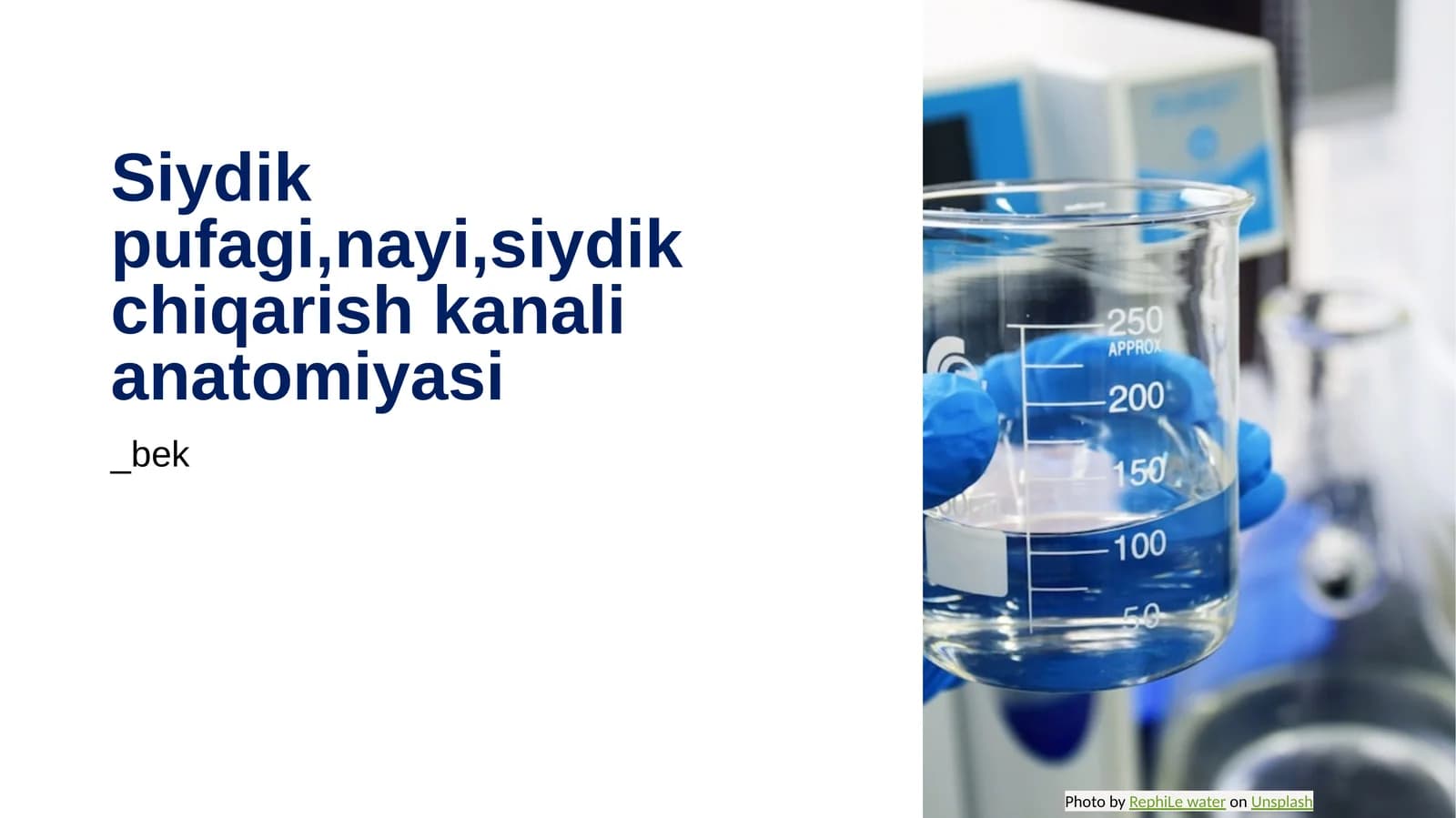 Siydik pufagi, nayi, siydik chiqarish kanali anatomiyasi