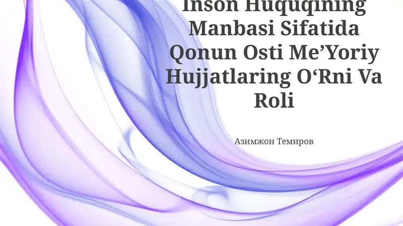 Inson Huquqining Manbasi Sifatida Qonun Osti MeʼYoriy Hujjatlaring OʻRni Va Roli