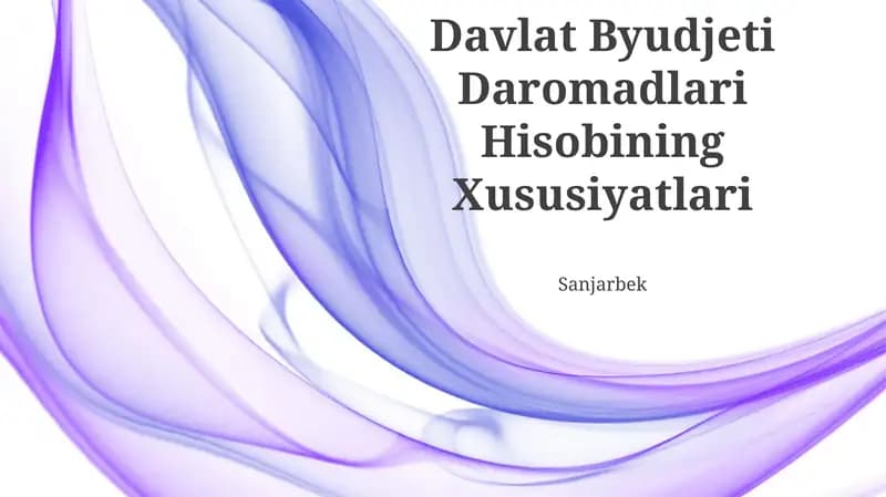 Davlat Byudjeti Daromadlari Hisobining Xususiyatlari