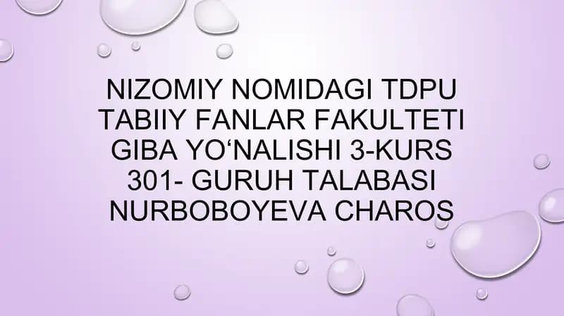 Mavzu: Korxona – tadbirkorlikning tashkiliy ko’rinishi. Korxona mulki va uning manbalari