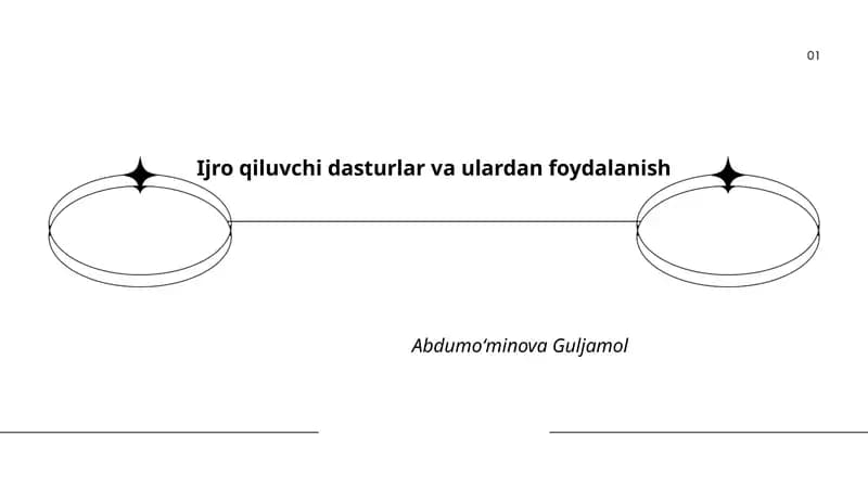 Ijro qiluvchi dasturlar va ulardan foydalanish