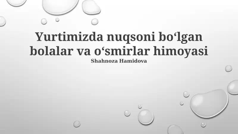 Mavjud Huquqiy Mexanizmlar va Himoya Choralar