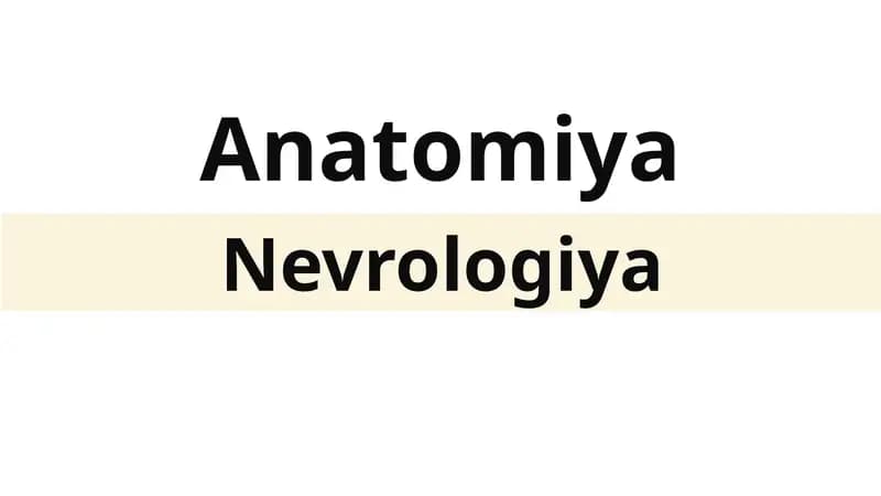 Anatomiya