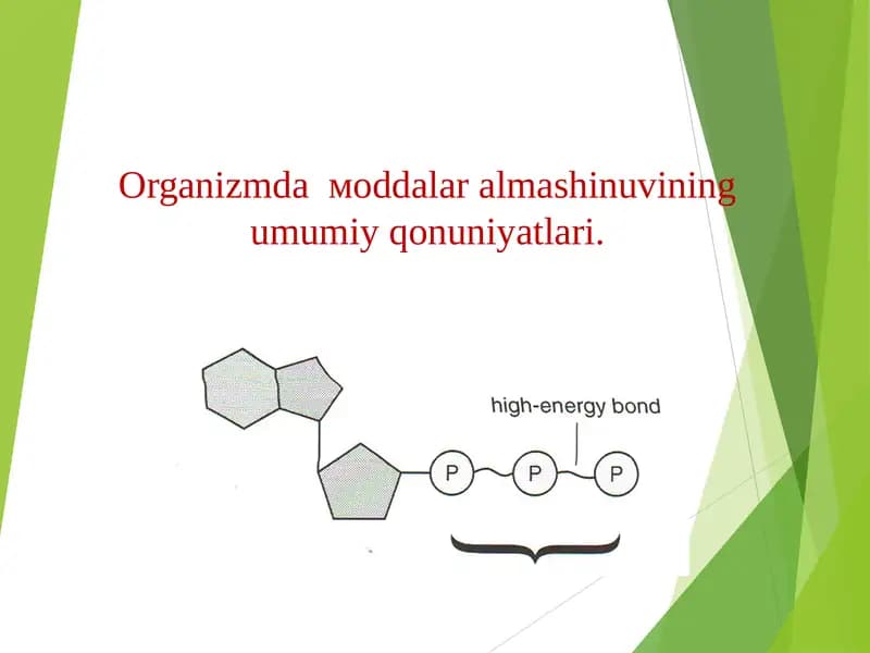 Organizmda moddalar almashinuvi (mətabolizm)