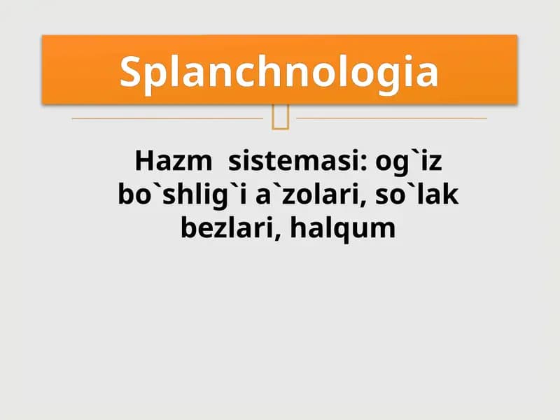 Hazm  sistemasi: og`iz bo`shlig`i a`zolari, so`lak bezlari, halqum
