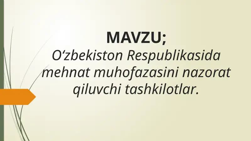 O‘zbekiston Respublikasida mehnat muhofazasini nazorat qiluvchi tashkilotlar.