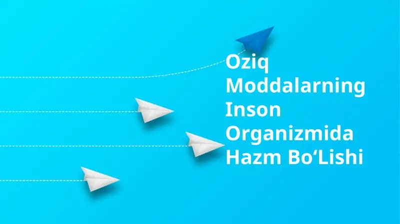 Oziq Moddalarning Inson Organizmida Hazm Bo‘Lishi